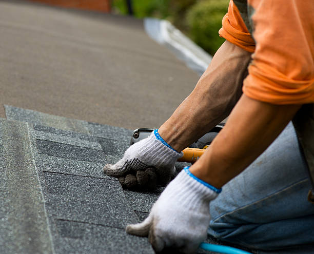 Best Roof Gutter Cleaning  in Lawrence, IN